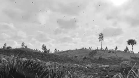 Black And White Landscape Stock-Footage 239947487