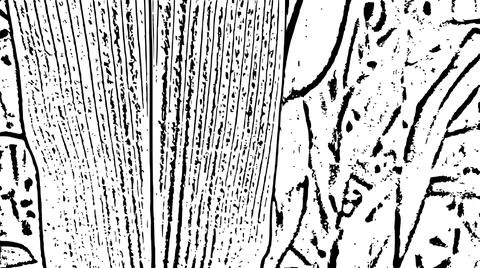Black and White Leaf Lines Abstract Graphic Pattern Stock Illustration