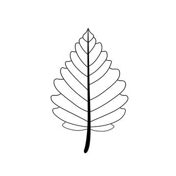 Black and White Leaf Outline Vector Illustration Stock Illustration