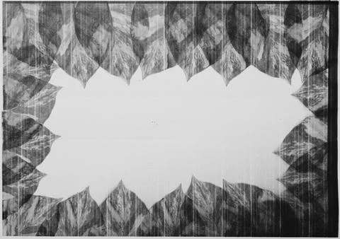 Black and white leaves frame created with photocopy technique on paper Stock Illustration