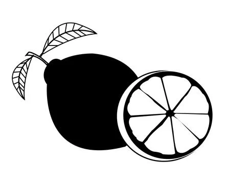 Black and white Lemon vector Stock Illustration