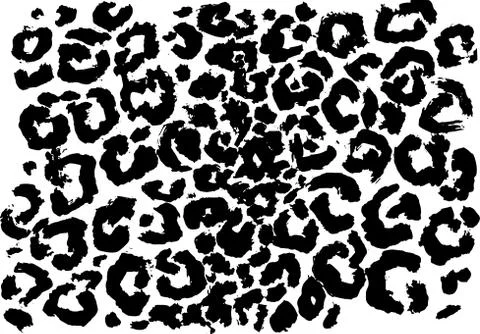 Black and white leopard pattern. Animal skin grunge texture. Vector illustration Stock Illustration