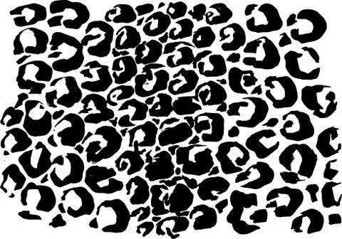 Black and white leopard pattern. Animal skin grunge texture. Vector illustration Stock Illustration