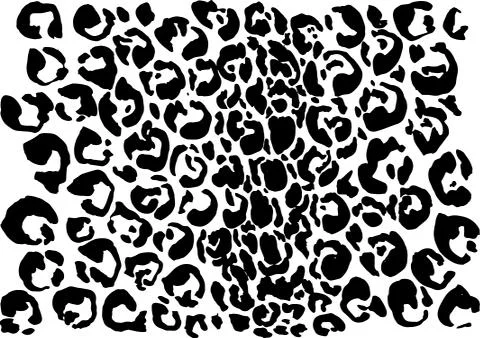 Black and white leopard pattern. Animal skin grunge texture. Vector illustration Stock Illustration