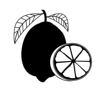 Black and white Lime vector Stock Illustration