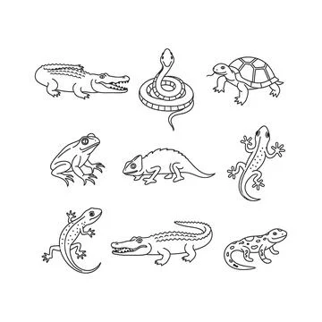 Black and white line drawing of various reptiles and amphibians Stock Illustration