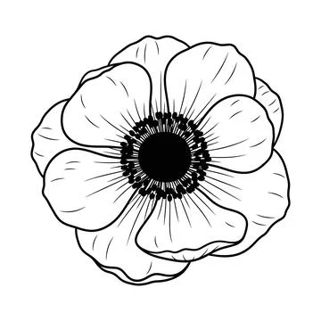 Black and white line drawing of a poppy flower vector Stock Illustration