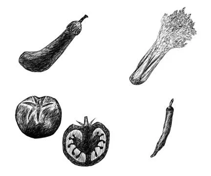 Black and white line illustrations, various vegetables Stock Illustration