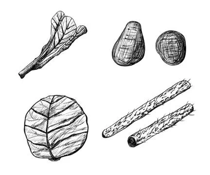 Black and white line illustrations, various vegetables Stock Illustration