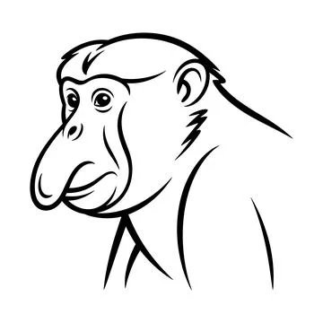 Black and white line of a monkey with a long nose primate Stock Illustration