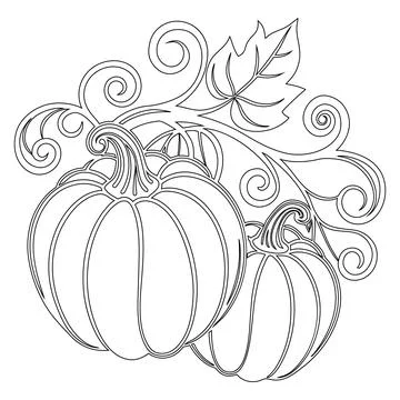 Black and white line of two pumpkins with curly vines and leaves line black. Stock Illustration