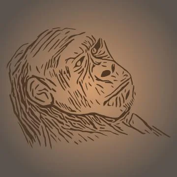 Black and white linear paint draw monkey vector illustration Stock Illustration
