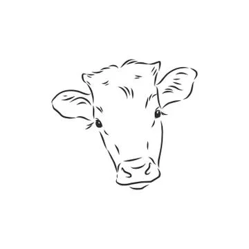 Black and white linear paint draw bull vector illustration. bull vector sketc Illustrazione stock