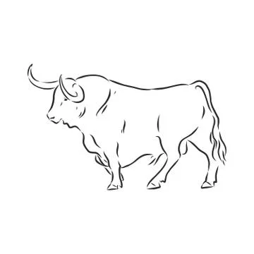 Black and white linear paint draw bull vector illustration. bull vector sketc Stock Illustration