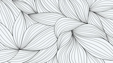 Black and white lines pattern background. Luxury Line arts wallpaper. Desig.. Stock Illustration