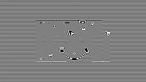 Black and White Lines Within Lines - Wavy Fractal 2 Stock Footage 125998436