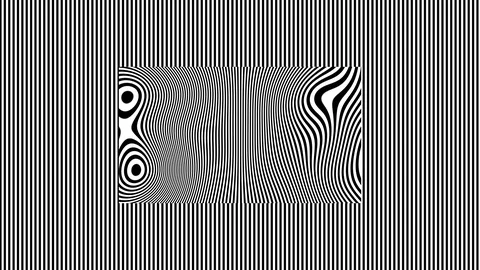 Black and White Lines Within Lines - Vertical Warped 3 Stock Footage 125998602