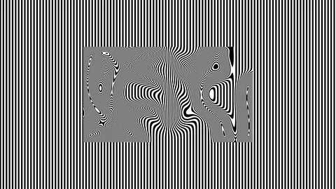 Black and White Lines Within Lines - Vertical Warped 2 Stock Footage 125998752