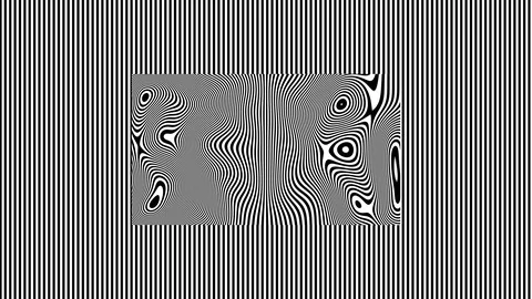 Black and White Lines Within Lines - Vertical Warped Stock Footage 125998826