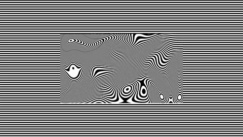 Black and White Lines Within Lines - Warped Stock Footage 125998902