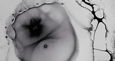 Black and White liquid ink / paint drop stain on white paper background Stock Footage