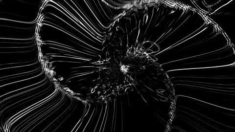 Black and White Liquid Lines Background VJ Loop 4K 60 FPS Stock Footage 263540591