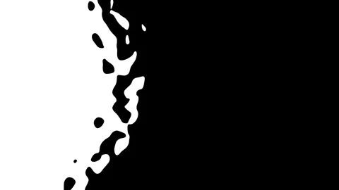 Black and white liquid transition. Flow effect ink. Drip fluid splash. Stock Footage 262740652