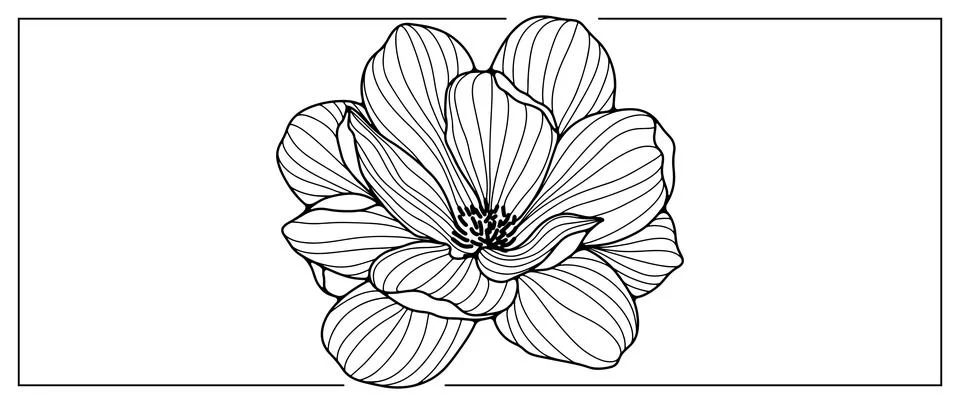 Black and white lotus vector illustration Stock Illustration