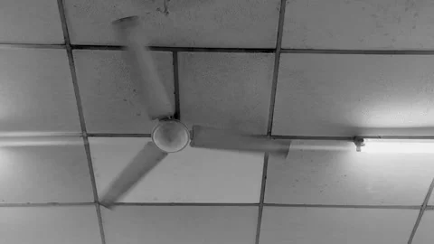 Black and white low angle shot of a spinning electric ceiling fan in a room. Stock Footage 327770598