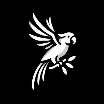 Black and White Macaw Vector Illustration Stock Illustration
