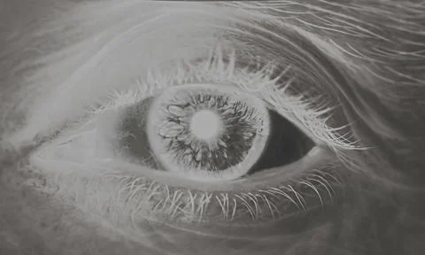 Black and white macro image with the brown eye and retina of a man. Stock Illustration