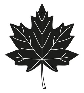Black and white maple leaf silhouette Stock Illustration