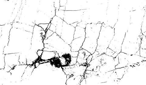 Black and white marble cracks simple texture. Vector illustration. イラスト素材
