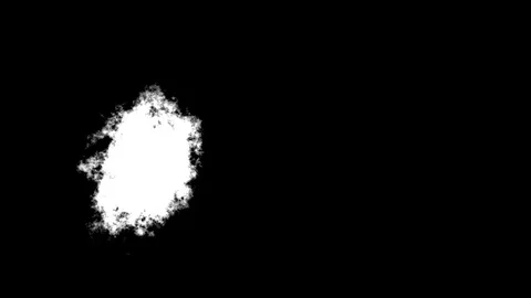 Black And White Matte Animations Stock Footage 81866232