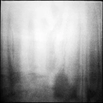 Black and white medium format film background with grain and light leak. Stock Photos