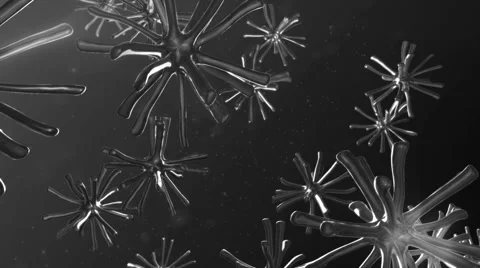 Black and White Microscopic Universe Vídeo Stock 40666129
