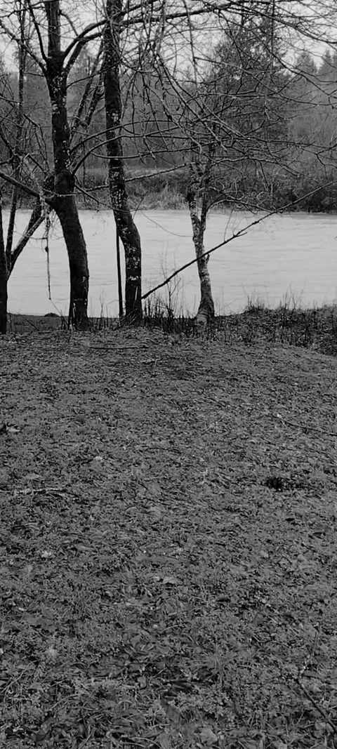 Black and white moody view of flowing water current near river banks Stock Footage 168037352