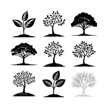 Black and white of nine different trees and plants growing from soil msea s.. Stock Illustration