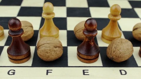 Black-and-white nuts and pawns Stock Footage 80361905