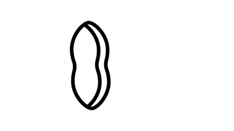 Black and white outline of a peanut, showcasing its distinctive shape and t.. Stock Footage 334853022