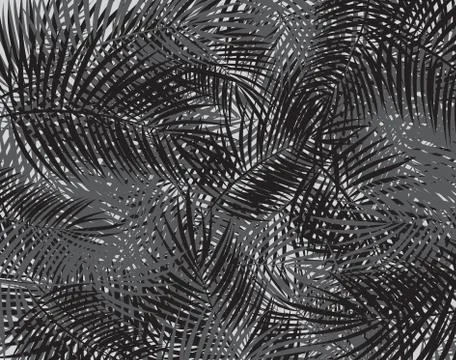 Black and White Palm Leaf Vector Background Illustration Stock Illustration