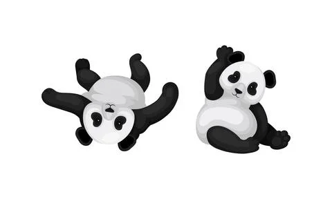 Black and White Panda Bear or Giant Panda with Patches Around its Eyes and Ears Ilustración de archivo