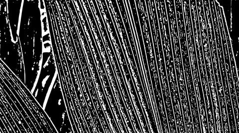 Black and White Parallel Lines Texture Graphic Stock Illustration