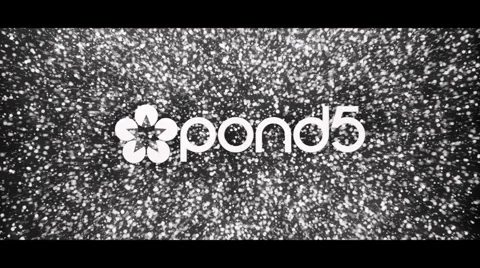 Black and White Particles Logo Reveal After Effects素材