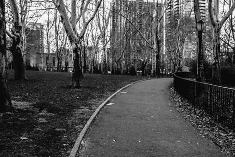 Black and White Path 库存照片