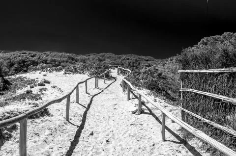 Black and white of path towards the sea through the beach Stock Photos
