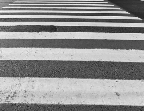 Black and white pattern of broad horizontal crosswalk stripes across asphalt  Stock Photos