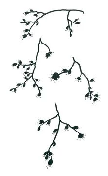 Black and white pattern of graceful flowering tree branches Stock Illustration