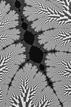 Black And White Pattern Stock Illustration
