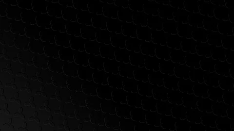 Black and white pattern on a minimal background. Stock Footage 124834052